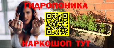 шишки Мариинск
