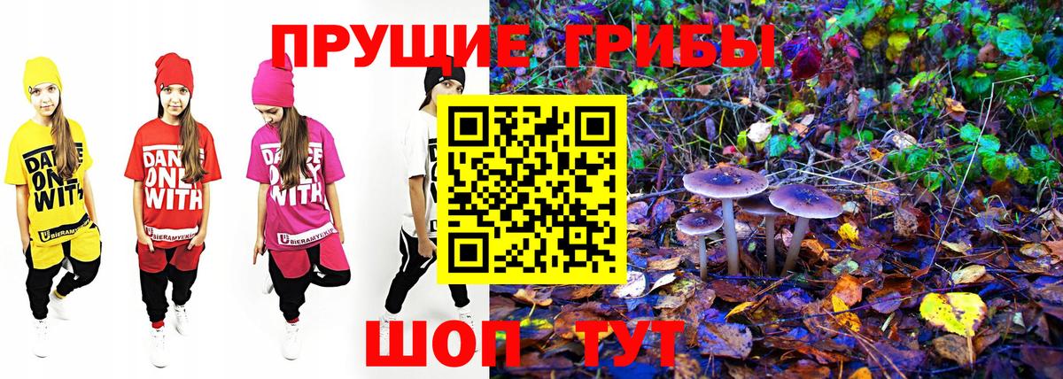 Галлюциногенные грибы мицелий Грязи