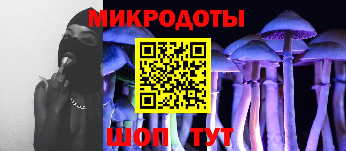 Галлюциногенные грибы MAGIC MUSHROOMS  Псилоцибиновые грибы Psilocybine cubensis  Грязи 